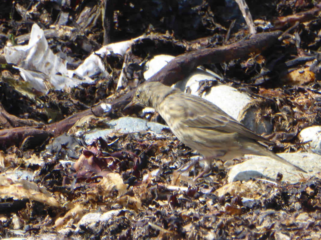 9240DFB4-4B90-44F1-A397-69EBBDB432B3