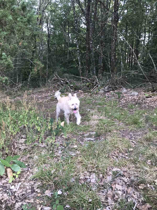 16C80D78-D727-4CB7-97C9-1448DF73ACB2