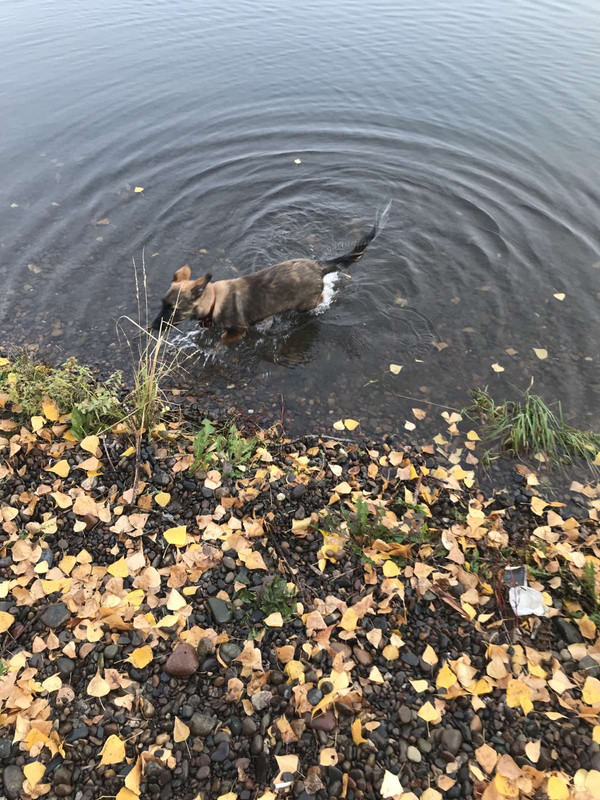 IMG-e555e49f5fba0a3e4499d07930eeb22f-V