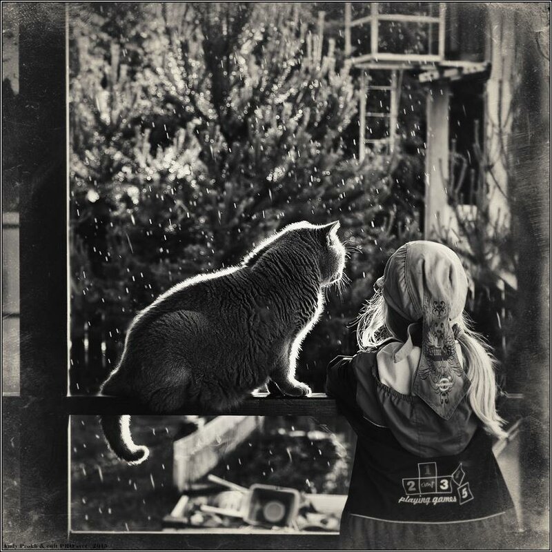 11377135-839813709418055-4503197434277827559-n