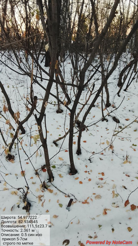 photo_2025-10-17_19-04-05 (2)