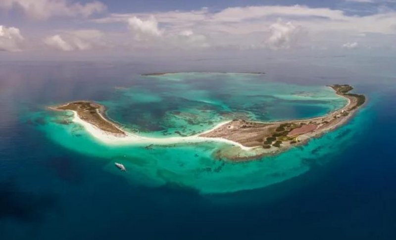 Isla Aves Isla Aves