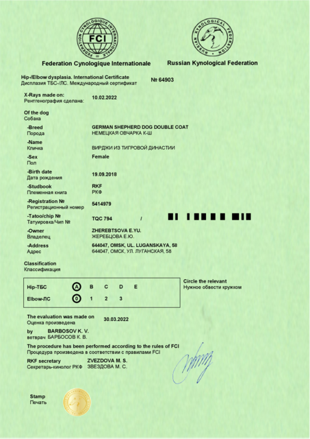 Сертификат 2336694 (1)