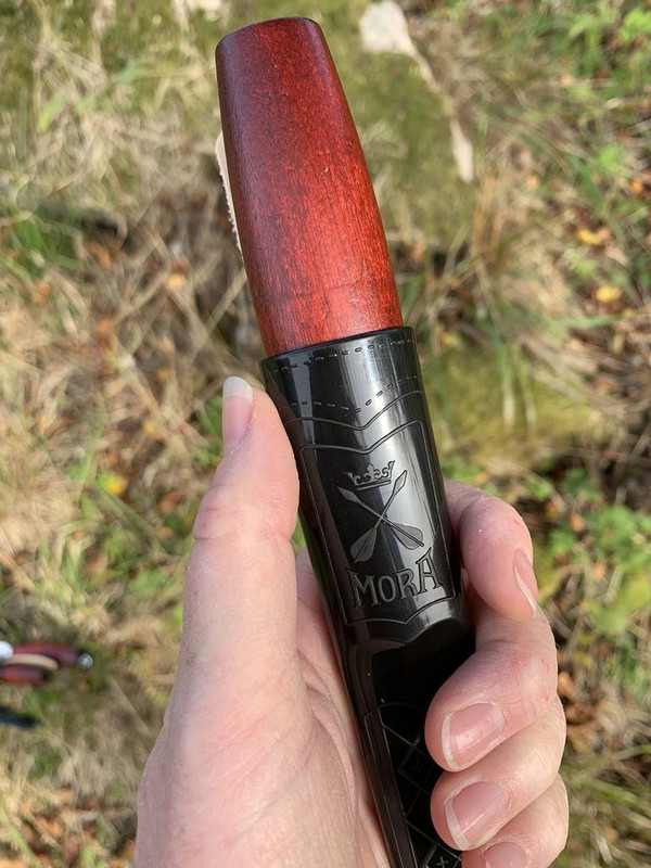 2F3F51A9-9798-4D4C-AD9E-1F00D1B3E329