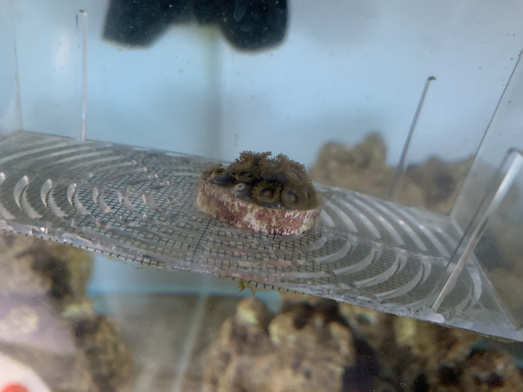 642EFAA9-05ED-4CA8-9BF1-615538AD19F0