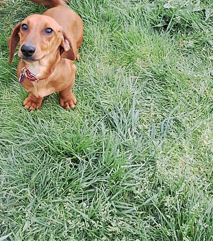 [Image: 20250413-194026.jpg]