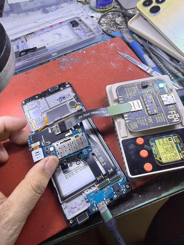 photo 2026 01 17 12 18 54