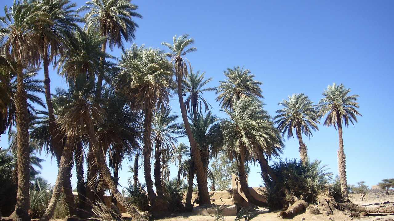 Mhamid el Ghizlane, en la frontera del Sáhara - El Valle del Drâa, la gran arteria del sur de Marruecos (17)