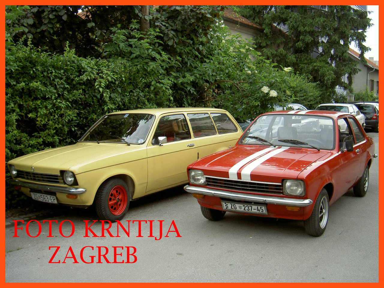 PICT9203