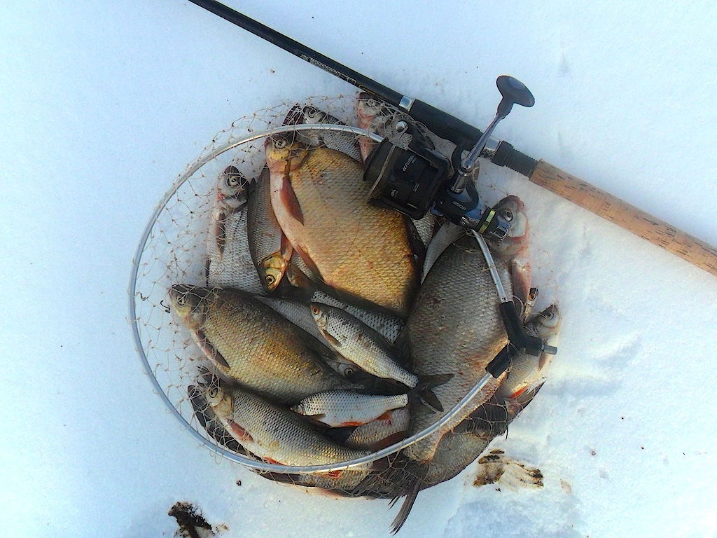 Добрянка 30.03.13 6