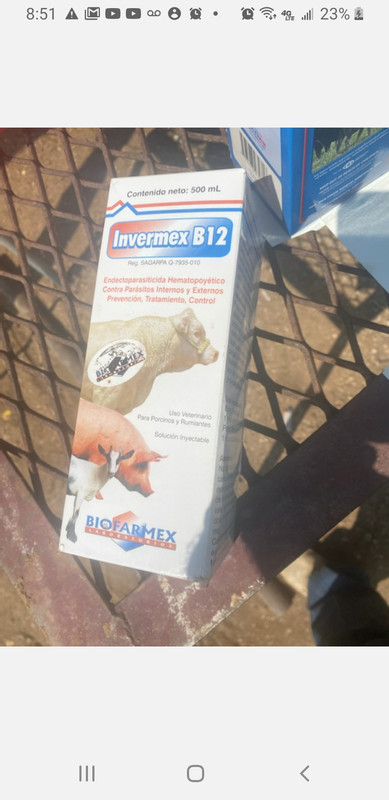 Screenshot_20210813-205119_Messages