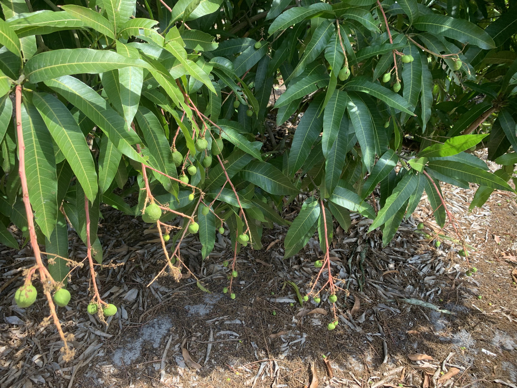 2B82839D-7F63-4056-AEC0-CCF8DFDCFB76