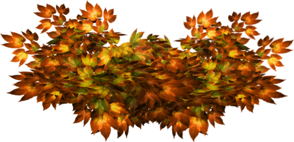 TADD_elements_ShimmerFall (87)