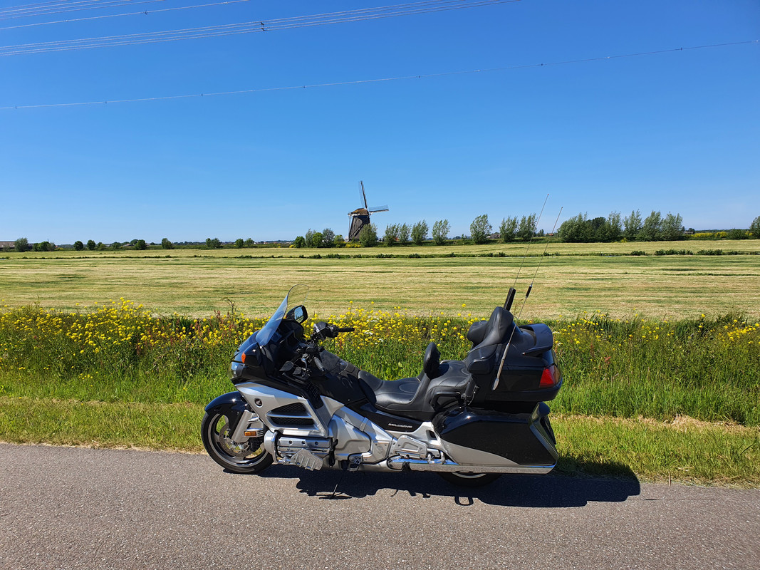 Pieter Zuijkerbuijk, Blauwe Molen 01 Rijpwetering 17-05-2020