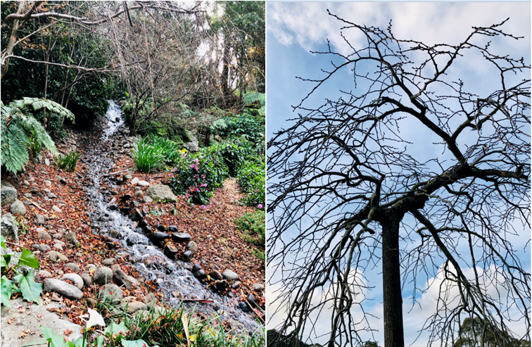 C2-AEB35-F-8229-4-EC0-9518-D29442-C6-B2-