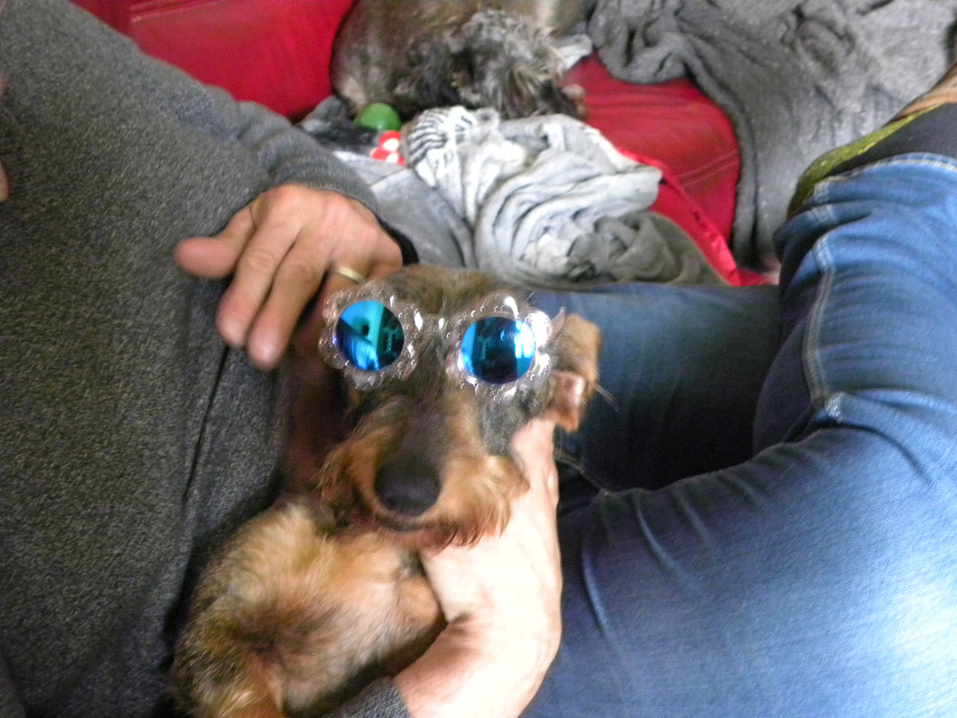 [Image: DSCN9754.jpg]