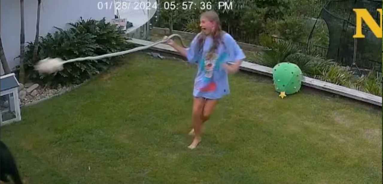 Niña salva a su cuyo de una serpiente de 2 metros (Video)