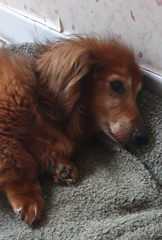 [Image: 20230801-083047.jpg]