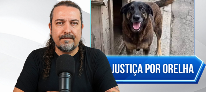 Caso do cãozinho Orelha: Polícia Civil de Santa Catarina colhe provas na casa dos “adolescentes”