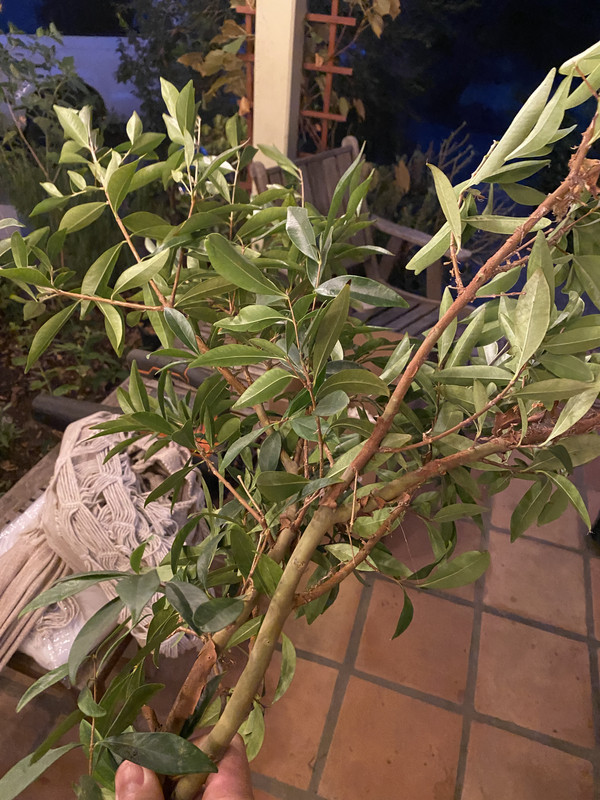 77D8737D-9056-40CD-B2F4-AE3B3DDF2873