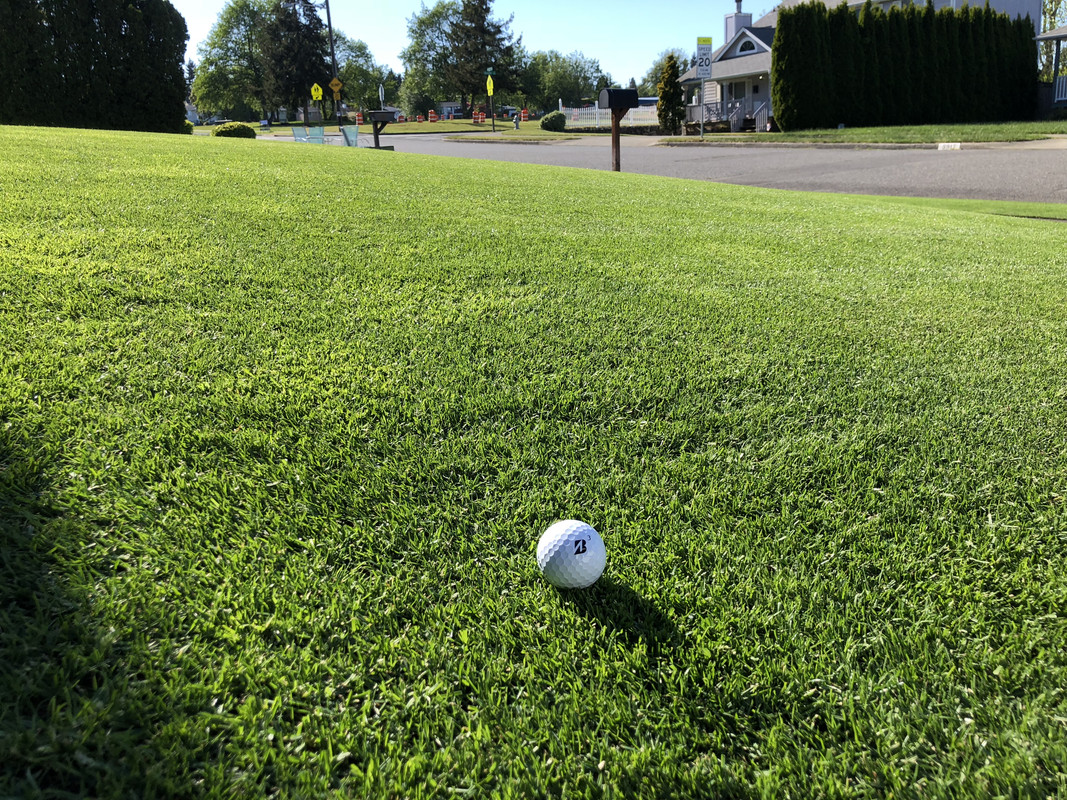 E68512AC-082C-4CF1-96B0-0180553F0B7E