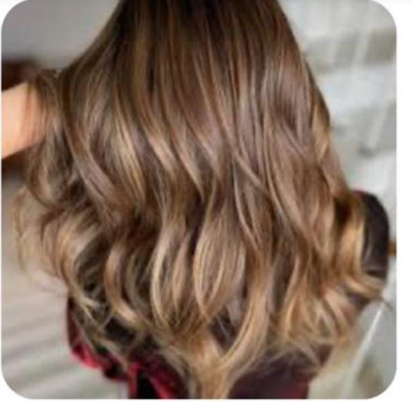 Salon profesional