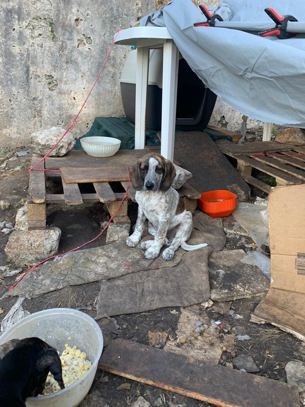 B54D9AD0-7343-414D-A929-50C81334D745