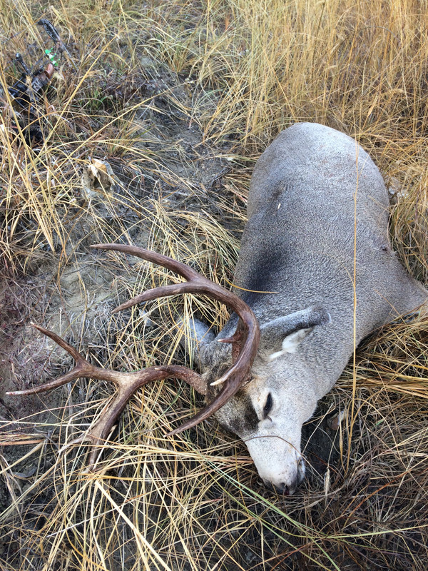 219AB5DA-0A4D-4B30-8ED3-4C3B61298684