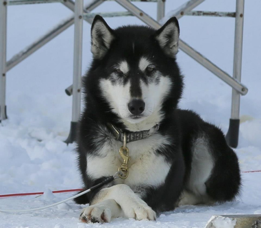 56E08648-1C21-4F75-8A20-B9C272B275E2