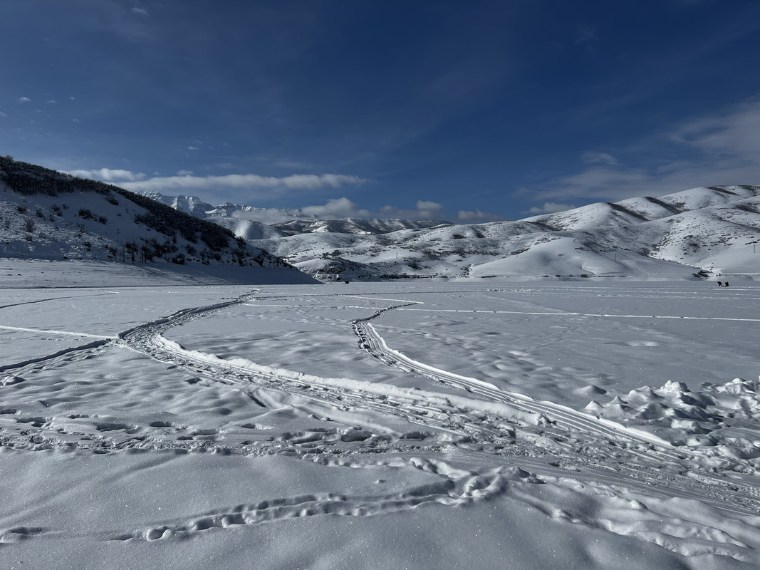 051F28EF-E7E6-4E35-AFA3-F660CEE638DC