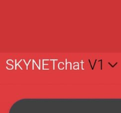 SKYNET CHAT