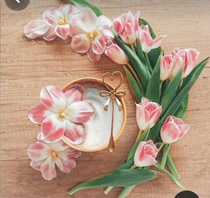 Screenshot_20240206_203545_Pinterest