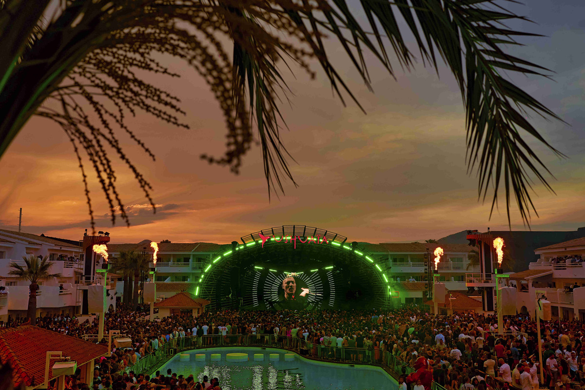 ushuaia-the-signal-palm-tree