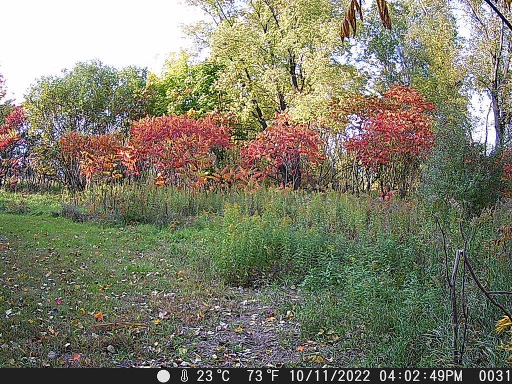 8C56C97D-9948-4E37-B2D6-6578915301CD