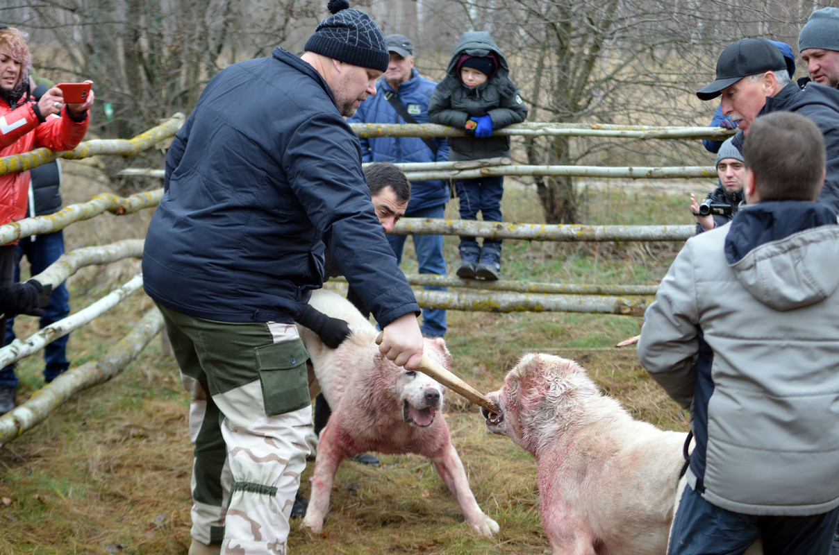 Самурыч-Уран 2  (9)