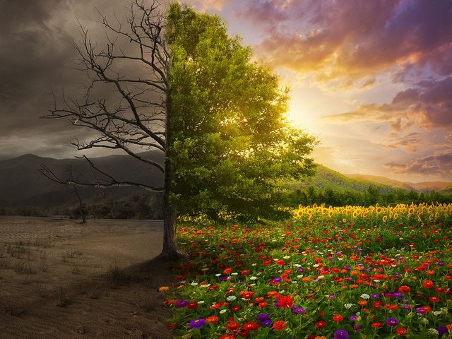 1F41CC72-EEFF-4142-A494-0B20998983AC