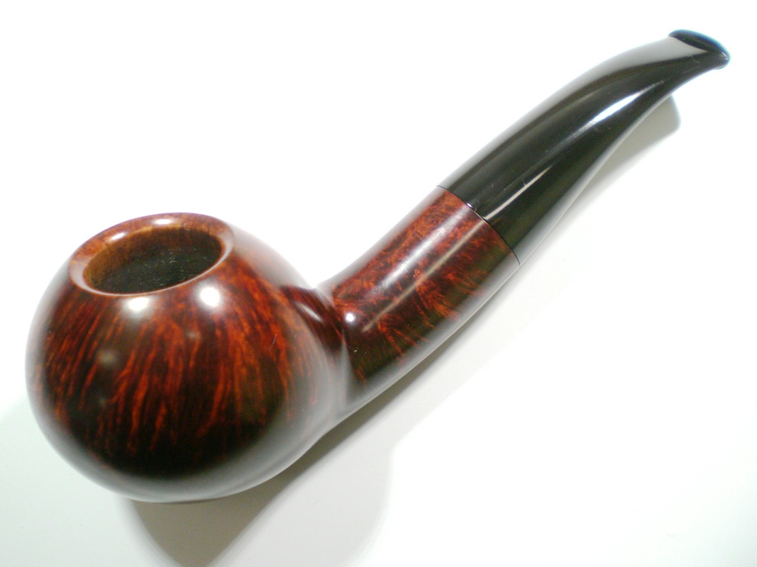 Ryan_Alden_Author_Gallery (1)