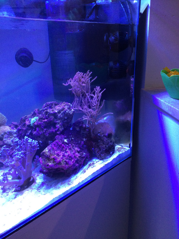 5BA5C545 E38F 486F 9D65 EB403B9BBA8E