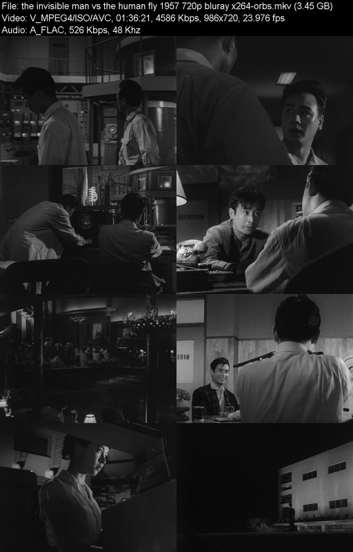 the-invisible-man-vs-the-human-fly-1957-