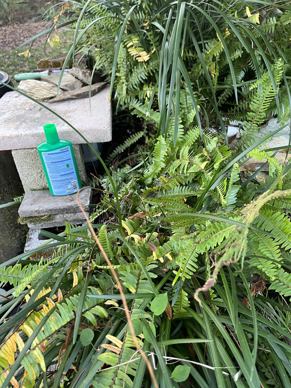 9CF5CEB0-C785-43DA-A939-83B3E29D0623