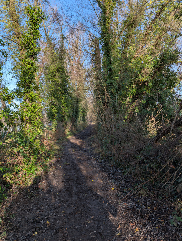 PXL 20260207 094030878