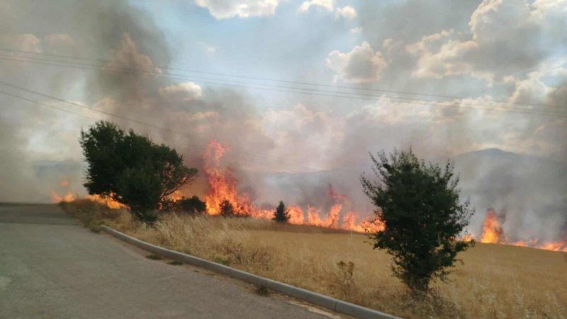 κοζάνη, ειδήσεις, νέα, Πτολεμαΐδα 