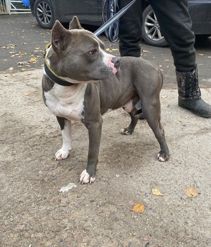 Снимок экрана 2024-10-28 в 19.51.58