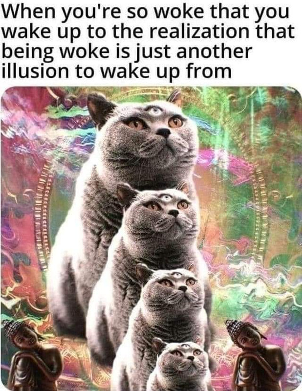 FB_IMG_1682671975097