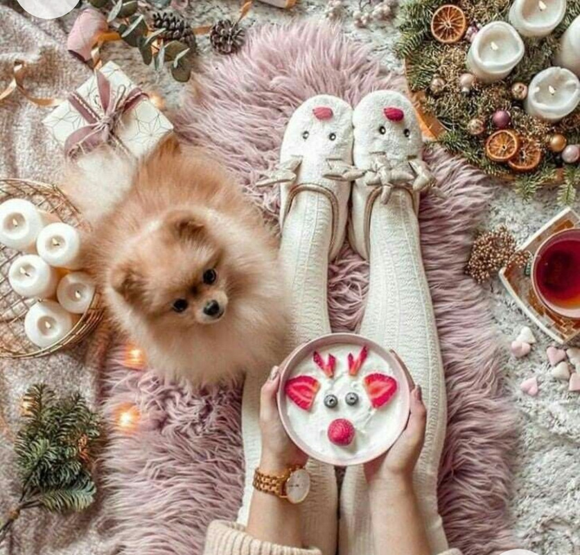 Screenshot_20221204-000531_Chrome