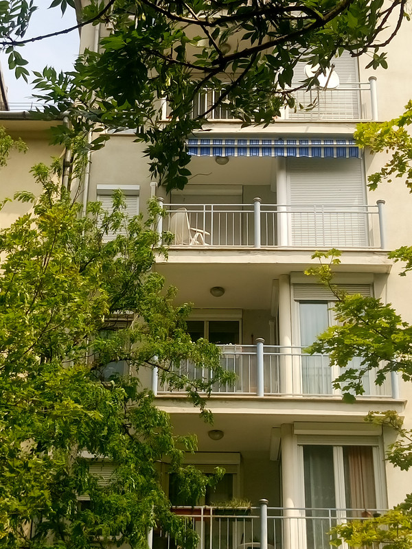 Kép