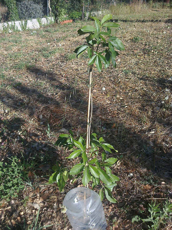 foto0123