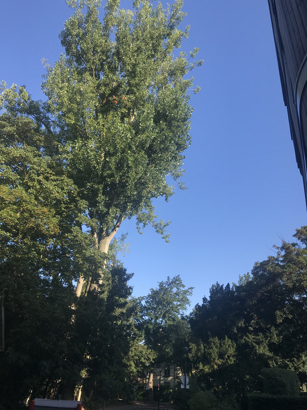 BC6212FC-910F-462E-869C-D0DCC3F3B2CD