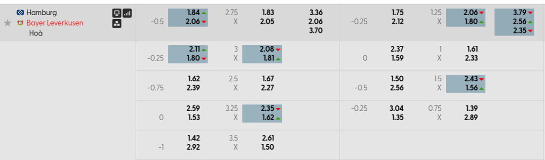 Tỷ lệ kèo Hamburger vs Leverkusen