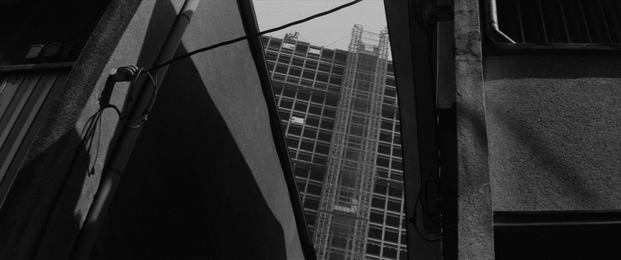 vlcsnap-2025-01-21-02h56m10s774